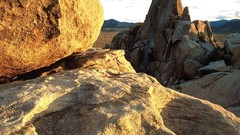 Landscapes California colors joshua tree national park