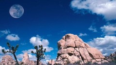 Landscapes California full moon joshua tree national park