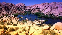 Landscapes California vivid national park joshua tree national 