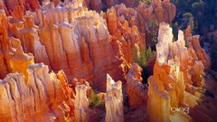 Landscapes canyon bryce canyon