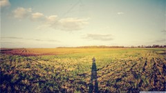Landscapes colors fields shadows herb skies