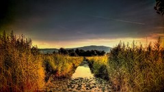 Landscapes creek nature Trees water hills Plants switzerland 