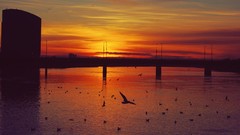 Landscapes dawn dawning