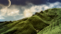 Landscapes digital art