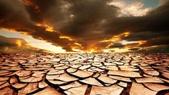 Landscapes drought