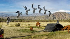 Landscapes elephants ramp acrobatics motorbikes