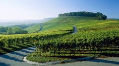 Landscapes fields sunlight roads