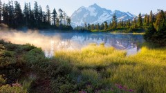 Landscapes Flowers fog nature Trees yellow water Mountains 