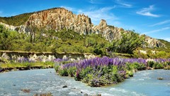 Landscapes Flowers nature Mountains vegetation Alps