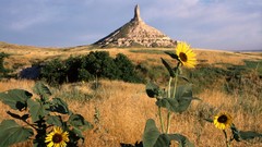 Landscapes Flowers rocks site chimney National rock formations 