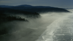 Landscapes fog California pices