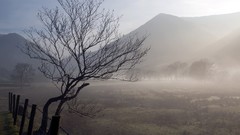 Landscapes fog nature Mountains protection morning tree trunk