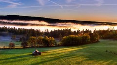 Landscapes fog nature sky Green distance lines Wood lonely