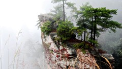 Landscapes fog nature Trees gray red Green China rocks cliff 
