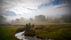 Landscapes fog nature Trees morning broken rivers dawning