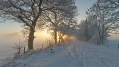 Landscapes fog nature Trees snow frost paths winter roads