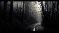 Landscapes fog Trees black and white roads The Mist monochrome 
