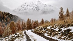 Landscapes fog Trees snow Mountains roads forests evergreens