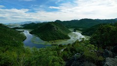 Landscapes forests Green Lake