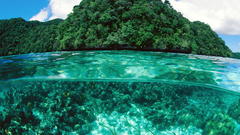 Landscapes forests Islands underwater