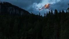 Landscapes forests mountain peak