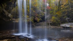 Landscapes forests National alabama