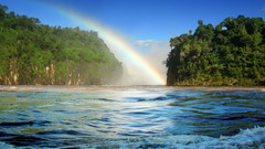 Landscapes forests rainbows