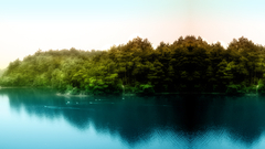 Landscapes forests rivers