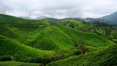 Landscapes Green ultra high awesome Resolution