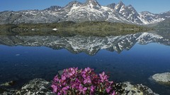 Landscapes Greenland