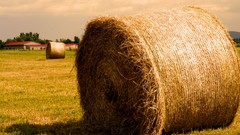 Landscapes hay farmland