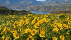 Landscapes hills coast Oregon crater lake