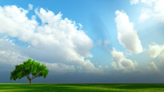 Landscapes horizon Trees fields