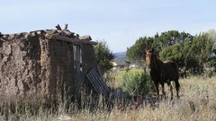 Landscapes Horses huts abandoned