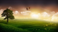 Landscapes hot air balloons