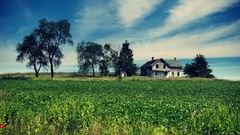 Landscapes houses fields farmhouse