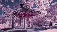 Landscapes Japan Garden Chinese cherry blossoms Korean infrared 
