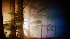 Landscapes leaves nature Trees yellow blue trunks white purple 