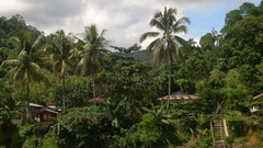 Landscapes live vienna