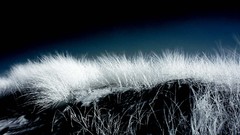 Landscapes manipulations