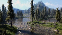 Landscapes mature rivers forests cypress