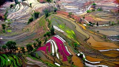 Landscapes Mountains China ricefields