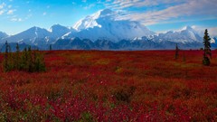 Landscapes Mountains Denali National Park