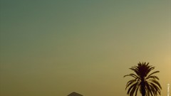 Landscapes Mountains palm trees windows 98