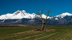 Landscapes Mountains spring slovakia High Tatras