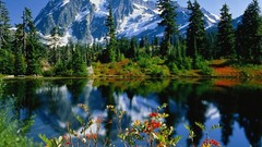 Landscapes nature 430