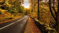 Landscapes nature autumn leaves