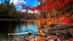 Landscapes nature autumn red leaves woods wooden bridge