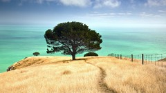 Landscapes nature bay New Zealand canterbury
