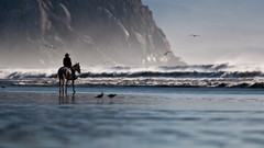 Landscapes nature Beaches riding Morro Bay California